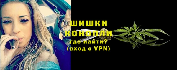 гашик Михайлов