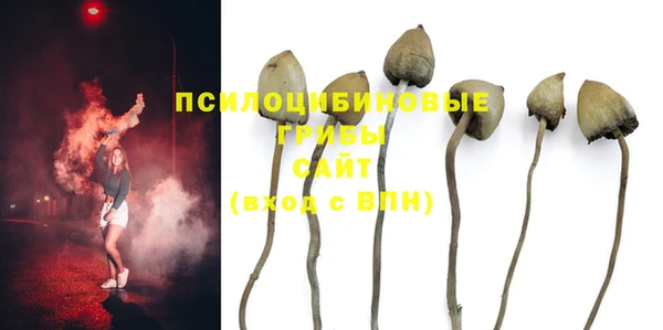 гашик Михайлов