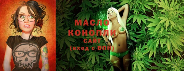 гашик Михайлов