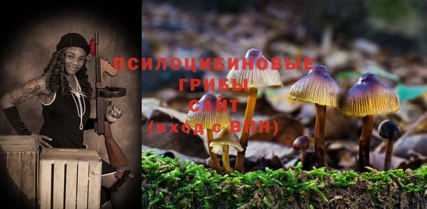 гашик Михайлов