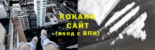 гашик Михайлов
