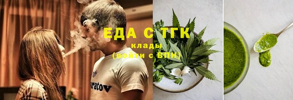 сатива Коряжма