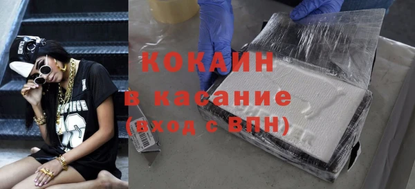 гашик Михайлов